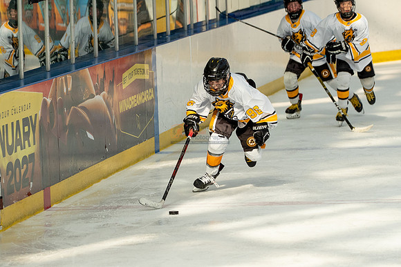 allstar-goal-diggers-04536