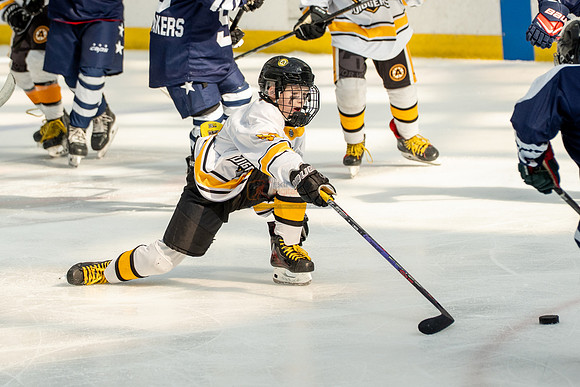 allstar-goal-diggers-04542