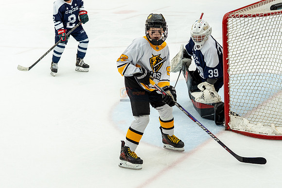 allstar-goal-diggers-04553