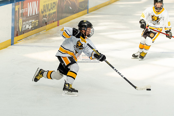 allstar-goal-diggers-04548