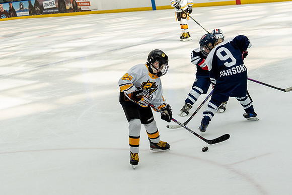 allstar-goal-diggers-04560