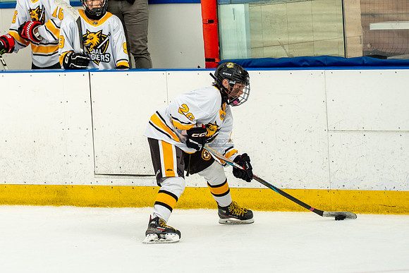 allstar-goal-diggers-04571