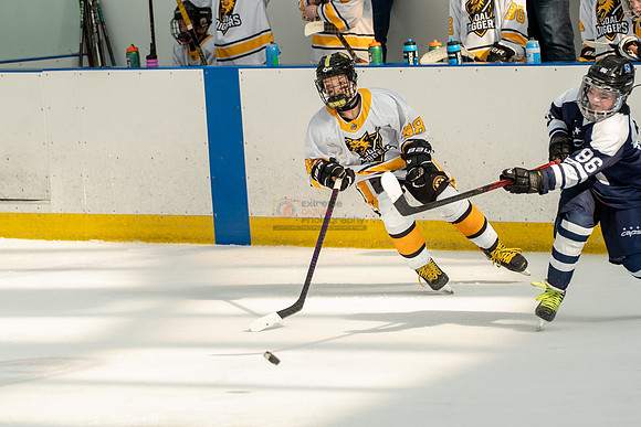 allstar-goal-diggers-04579