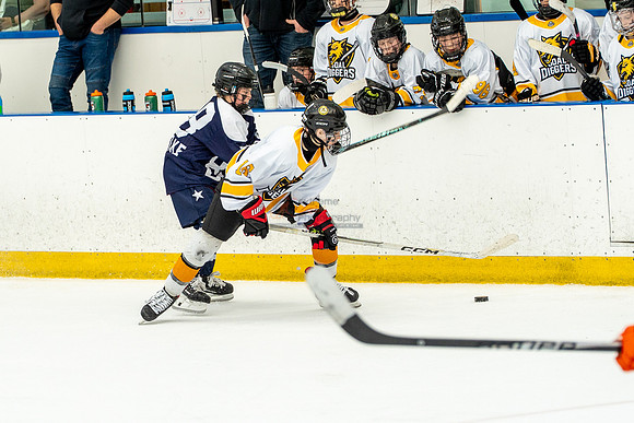 allstar-goal-diggers-04596