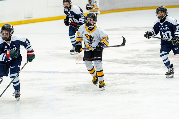 allstar-goal-diggers-04617