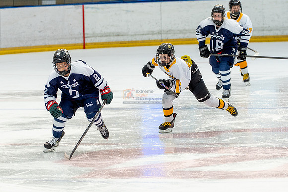 allstar-goal-diggers-04614