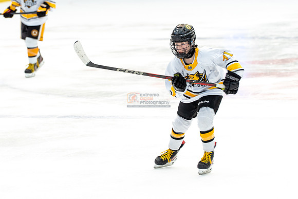 allstar-goal-diggers-04627