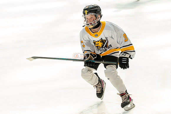 allstar-goal-diggers-04633