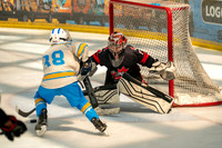 Crushers18-0041