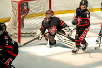 Crushers18-0067