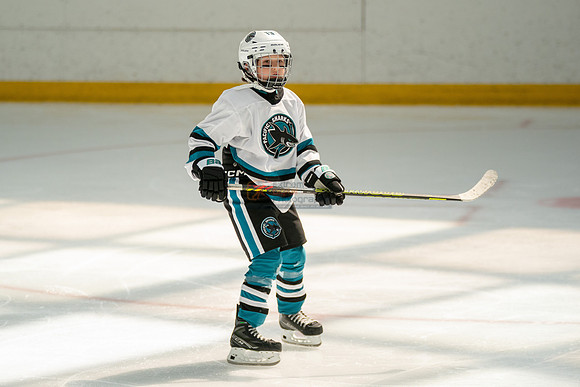 sharks-may2-0285