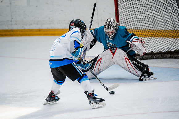 Sharks-may3-0387