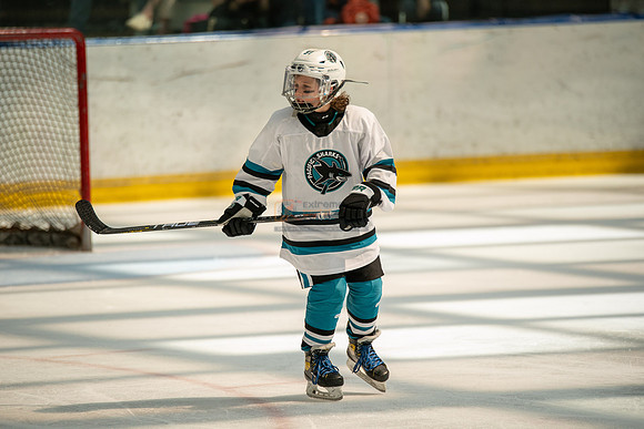 sharks-may2-0439