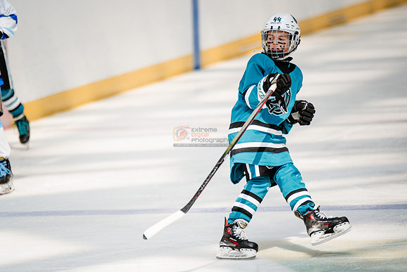 Sharks-may3-0264