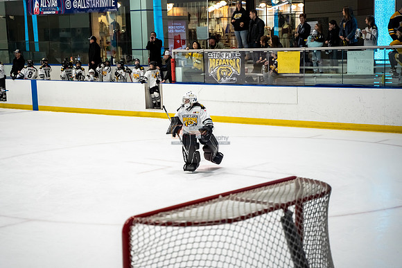 stplpreds-2-15