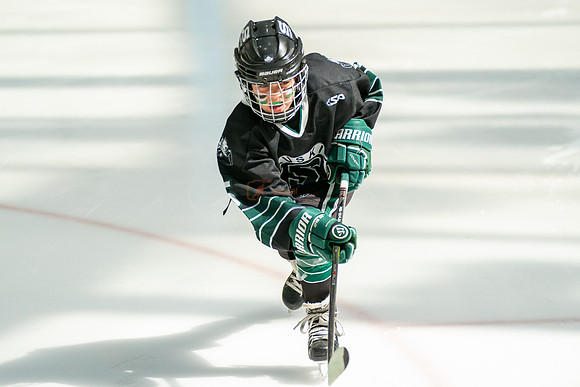 Husky-prospects-0036