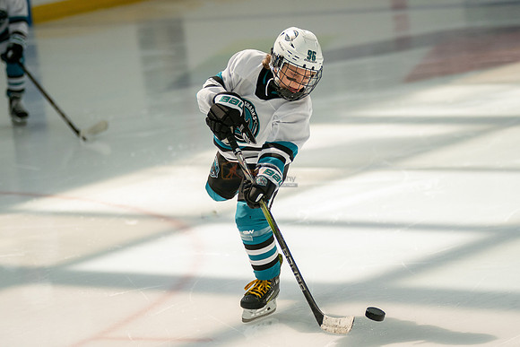 sharks-may2-0039