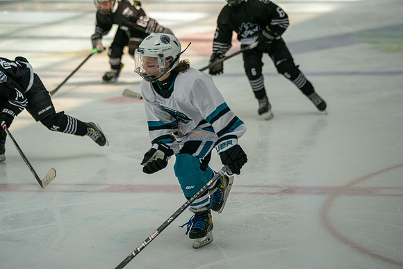 sharks-may2-0204