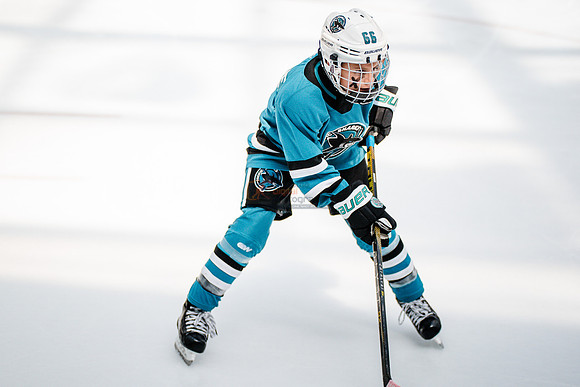 Sharks-may3-0239
