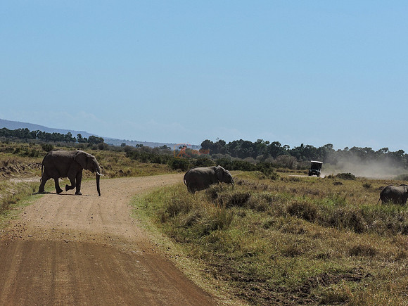 Masai-Maara-0326