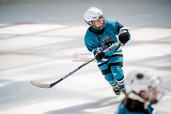 Sharks-may3-0117