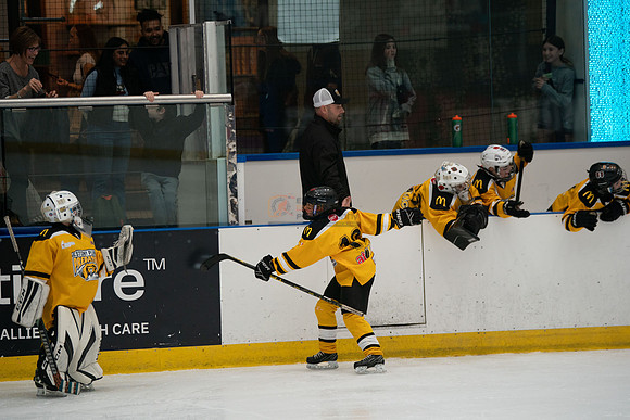 PRedators-yellow-25