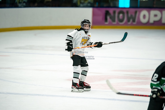 stplpreds-33