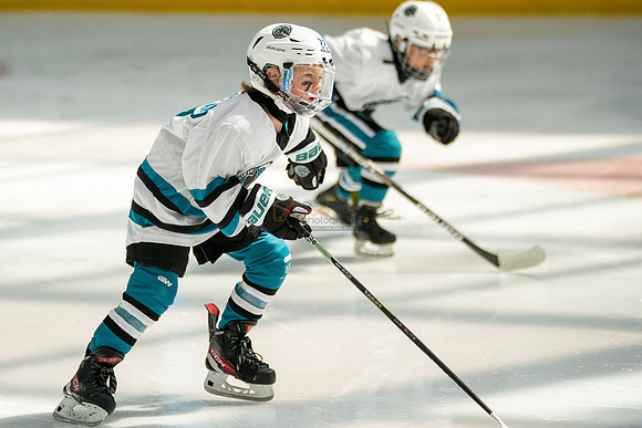 sharks-may2-0326