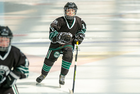 Husky-prospects-0038