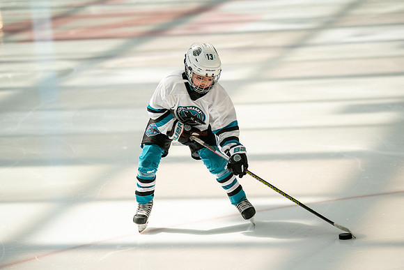 sharks-may2-0037