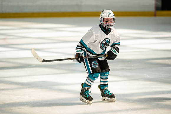 sharks-may2-0373