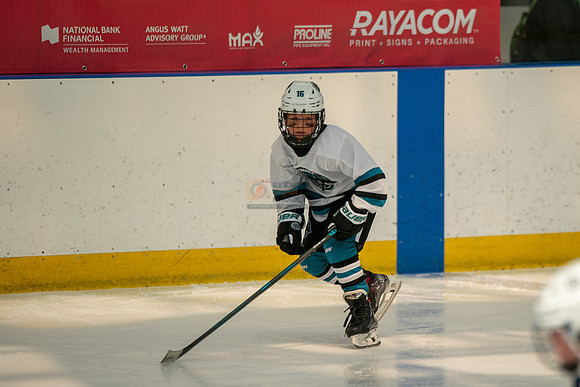 sharks-may2-0186