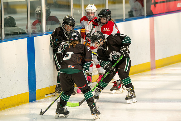 Husky-prospects-0148