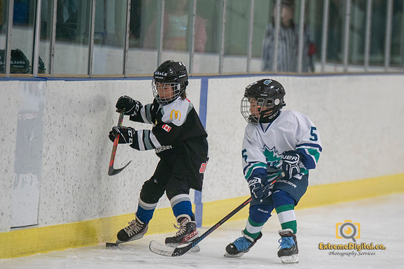 u13-team-pic-0239