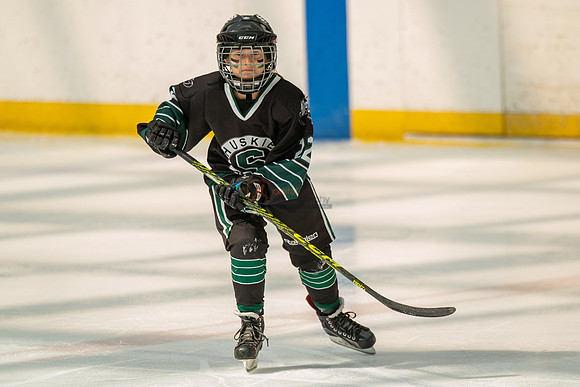 Husky-prospects-0225