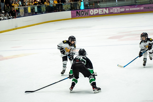 stplpreds-2-17
