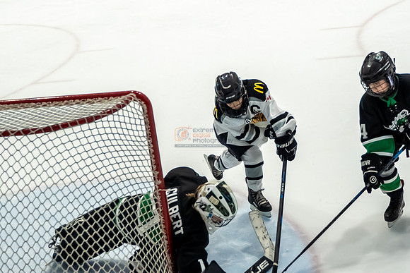 stplpreds-2-22