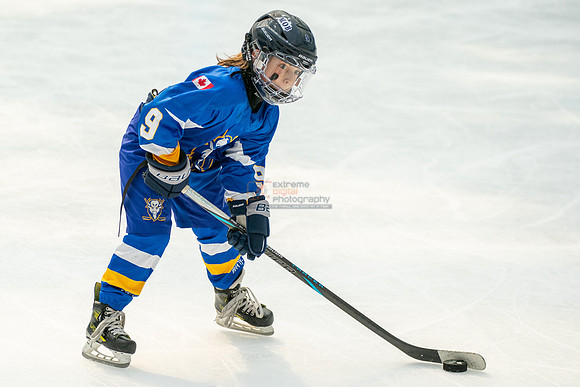 Bisons-0127