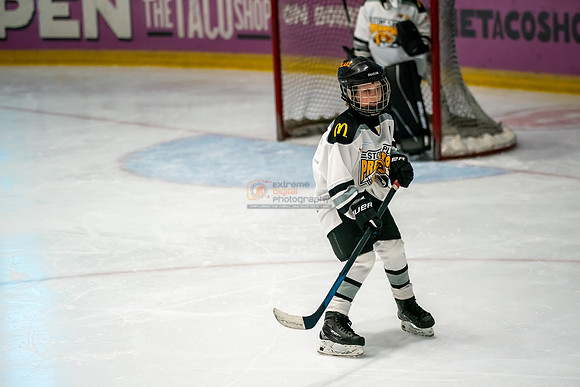 stplpreds-100
