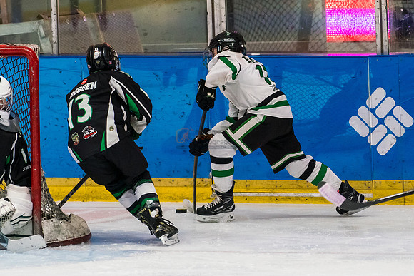 allstar-feb7-Basha-8730