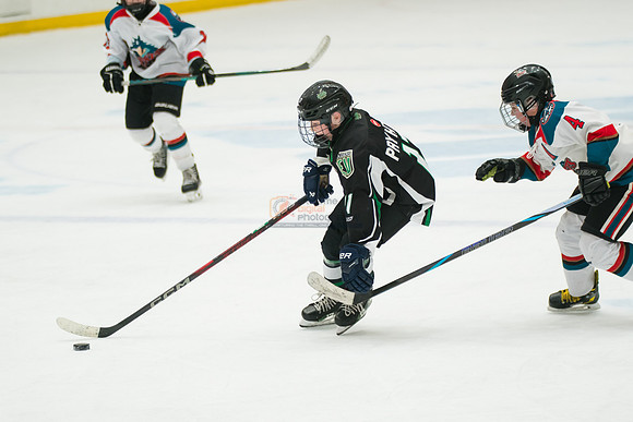 allstar-feb9-2-11