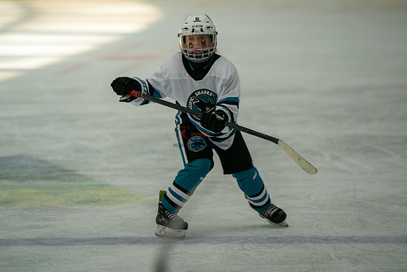 sharks-may2-0177