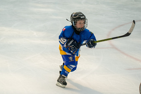 Bisons-2-7