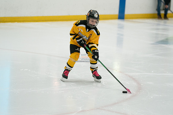 PRedators-yellow-9