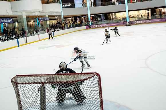stplpreds-2-19