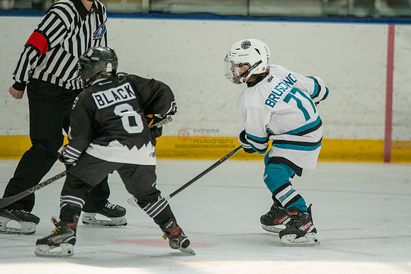 sharks-may2-0363