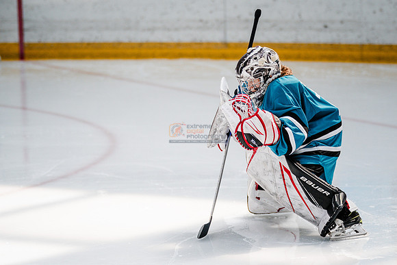 Sharks-may3-0049