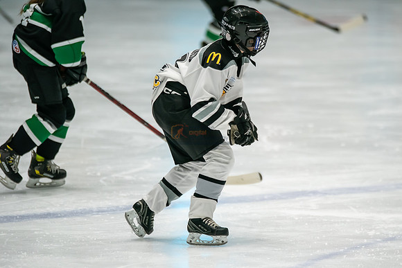 stplpreds-88
