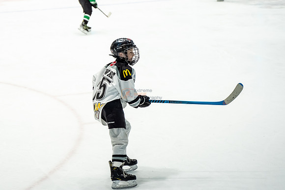 stplpreds-2-5