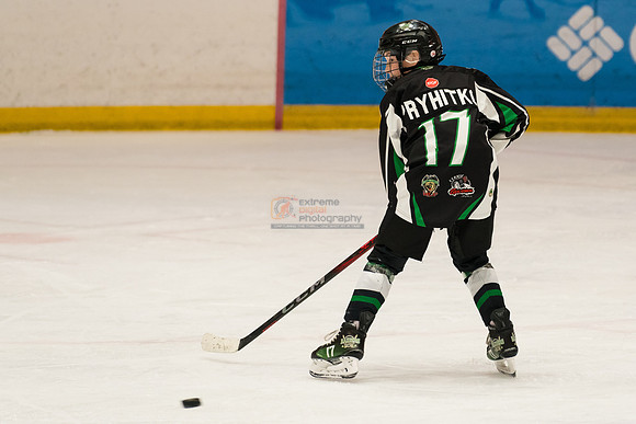 allstar-feb7-PRYHITKO-8813